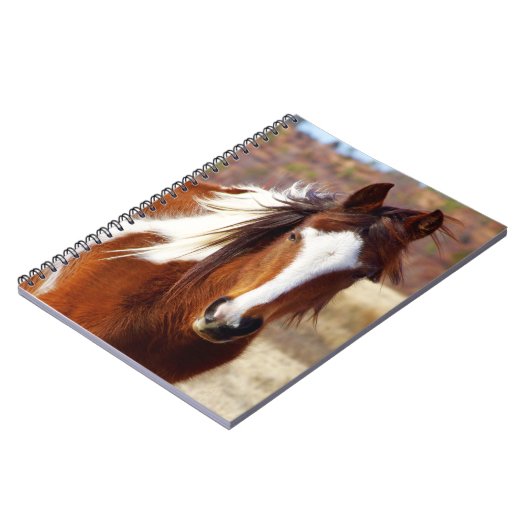 Carnets de notes à spirale de beau cheval de (Côté gauche)