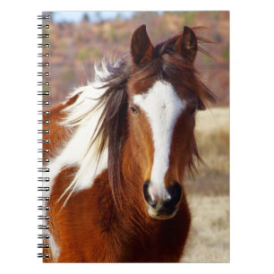 Carnets de notes à spirale de beau cheval de
