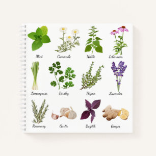 Carnets de recettes Herbes