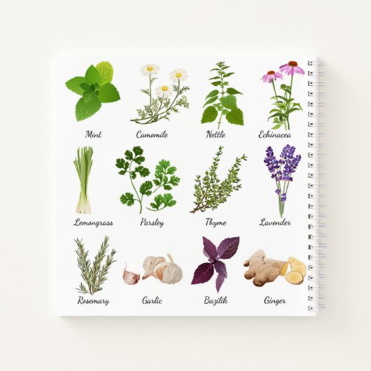 Carnets de recettes Herbes (Dos)