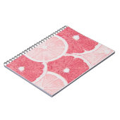 carnets scolaires (Côté gauche)