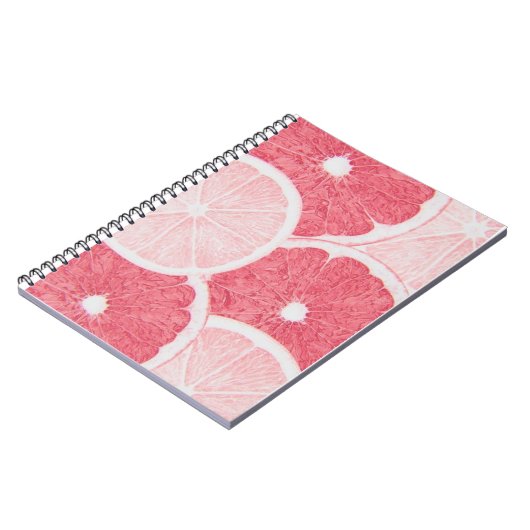 carnets scolaires (Côté gauche)