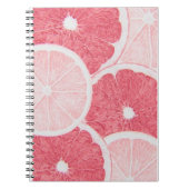 carnets scolaires (Devant)