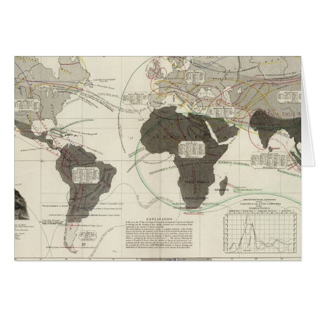 Carnivora (Voorkant Horizontaal)