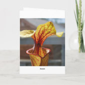 Carnivore Plante carte d'anniversaire (Dos)