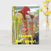 Carnivore Plante carte d'anniversaire (Fleur jaune)