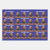 carnivore Wrapping Paper Flat Sheet Set of 3 (Voorkant 3)