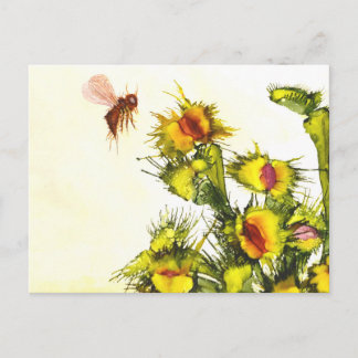 "Carnivoren" briefkaart