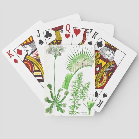  carnivoren Plant afdrukken Pokerkaarten (Achterkant)