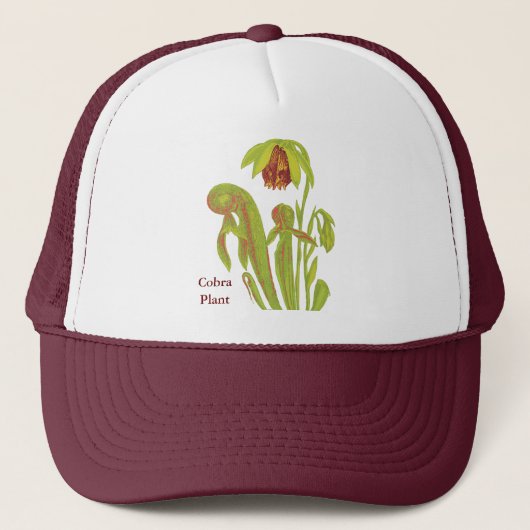Carnivoren Plant Darlingtonia Trucker Pet (Voorkant)