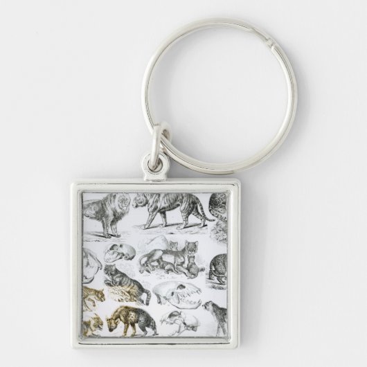 carnivoren sleutelhanger (Voorkant)