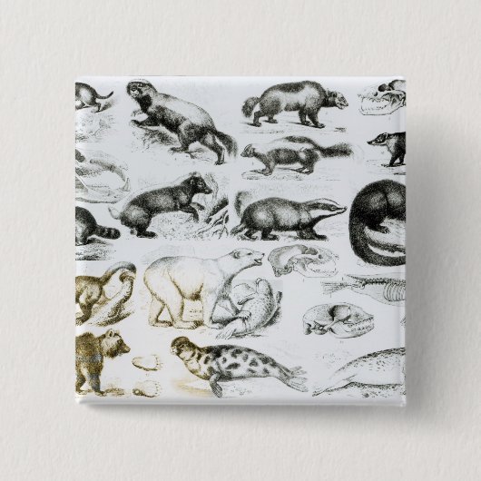 carnivoren vierkante button 5,1 cm (Voorkant)