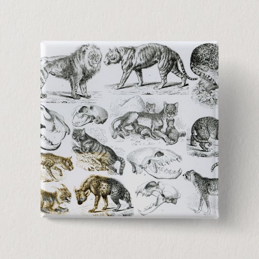 carnivoren vierkante button 5,1 cm (Voorkant)