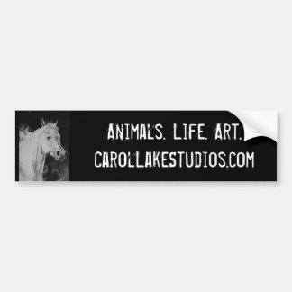 Carol Lake Studios Bumpersticker