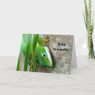Carolina Anole Green Lizard Foto Sympathie Kaart