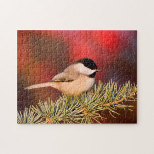 Carolina Chickadee in Blauwe Atlasceder Legpuzzel