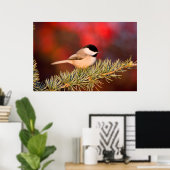 Carolina Chickadee in Blue Atlas Cedar Poster (Thuiskantoor)