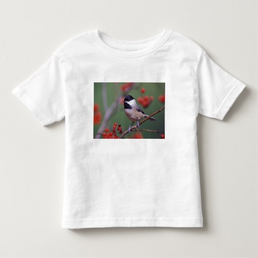 Carolina Chickadee Kinder Shirts (Voorkant)