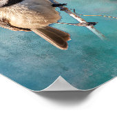 Carolina Chickadee Poster (Hoek)