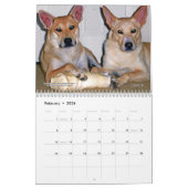 Carolina Dog Agenda 2013 Kalender (Feb 2026)