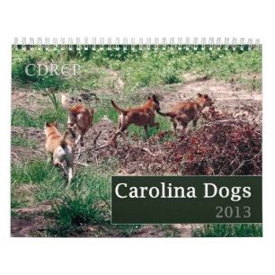Carolina Dog Agenda 2013 Kalender