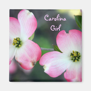 Carolina Girl rose Dogwood Magnet