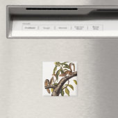 Carolina Gray Squirrel (Sciurus Carolinensis) Magneet (Insitu (Vaatwasser))