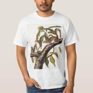 Carolina Gray Squirrel (Sciurus Carolinensis) T-shirt