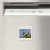 Carolina Jasmine Magnet (In Situ (Lave-vaisselle))