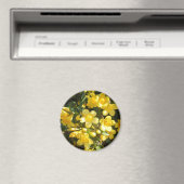 Carolina Jasmine Magnet (In Situ (Lave-vaisselle))
