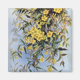 Carolina Jessamine Yellow Flowers Floral Magneet