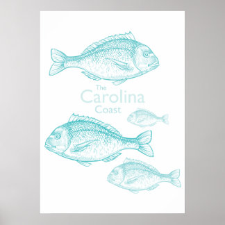 Carolina Kust Vintage Turquoise Zoutwater Vis Poster