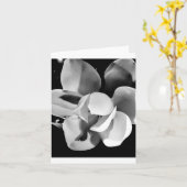 Carolina Magnolia - Carte pliée vierge (Fleur jaune)