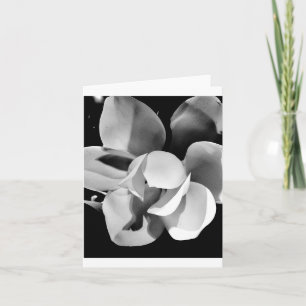Carolina Magnolia - Carte pliée vierge