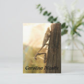 Carolina Mantis Briefkaart (Staand voorkant)