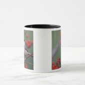 Carolina Mees Mok (Midden)