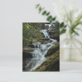Carolina Mountain Waterfall Photo Carte postale 2 (Debout devant)