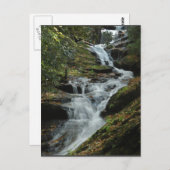 Carolina Mountain Waterfall Photo Carte postale 2 (Devant / Derrière)