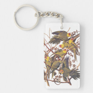 Carolina Parakeet Acryl Sleutelhanger