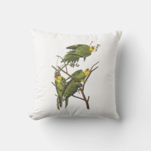 Carolina Paraket van Audubon Kussen