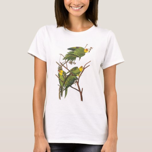 Carolina Paraket van Audubon T-shirt (Voorkant)