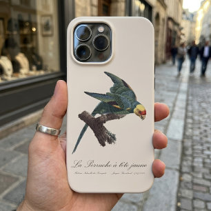 Carolina-parkiet, Conuropsis carolinensis iPhone 13 Pro Max Hoesje