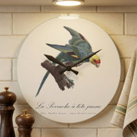 Carolina-parkiet, Conuropsis carolinensis