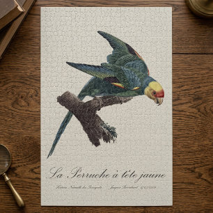 Carolina-parkiet, Conuropsis carolinensis Legpuzzel