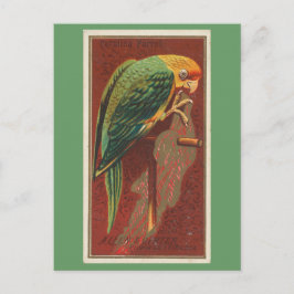 Carolina Parrot Briefkaart