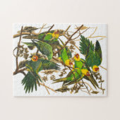 Carolina Parrot door John James Audubon Legpuzzel (Horizontaal)