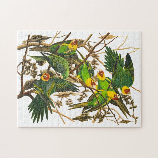 Carolina Parrot door John James Audubon Legpuzzel (Horizontaal)