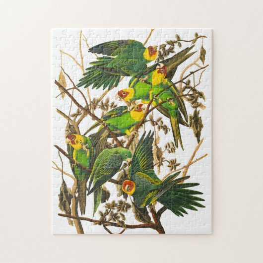 Carolina Parrot door John James Audubon Legpuzzel (Verticaal)