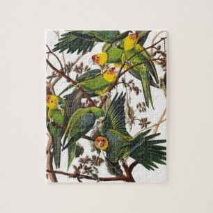 Carolina Parrot - John James Audubon (1827-1838) Legpuzzel