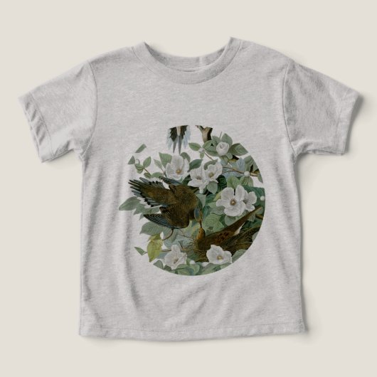 Carolina Pigeon Audubon Morning Dove Bird (Design Recto)